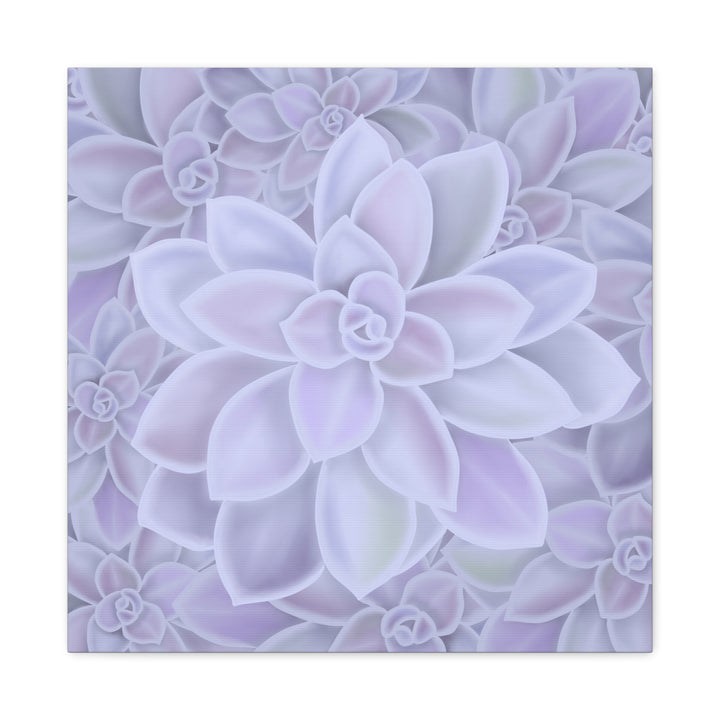 Graptopetalum Murasaki Succulent Canvas Art Print Pastel Purple Rosette Indoor Plant Decor