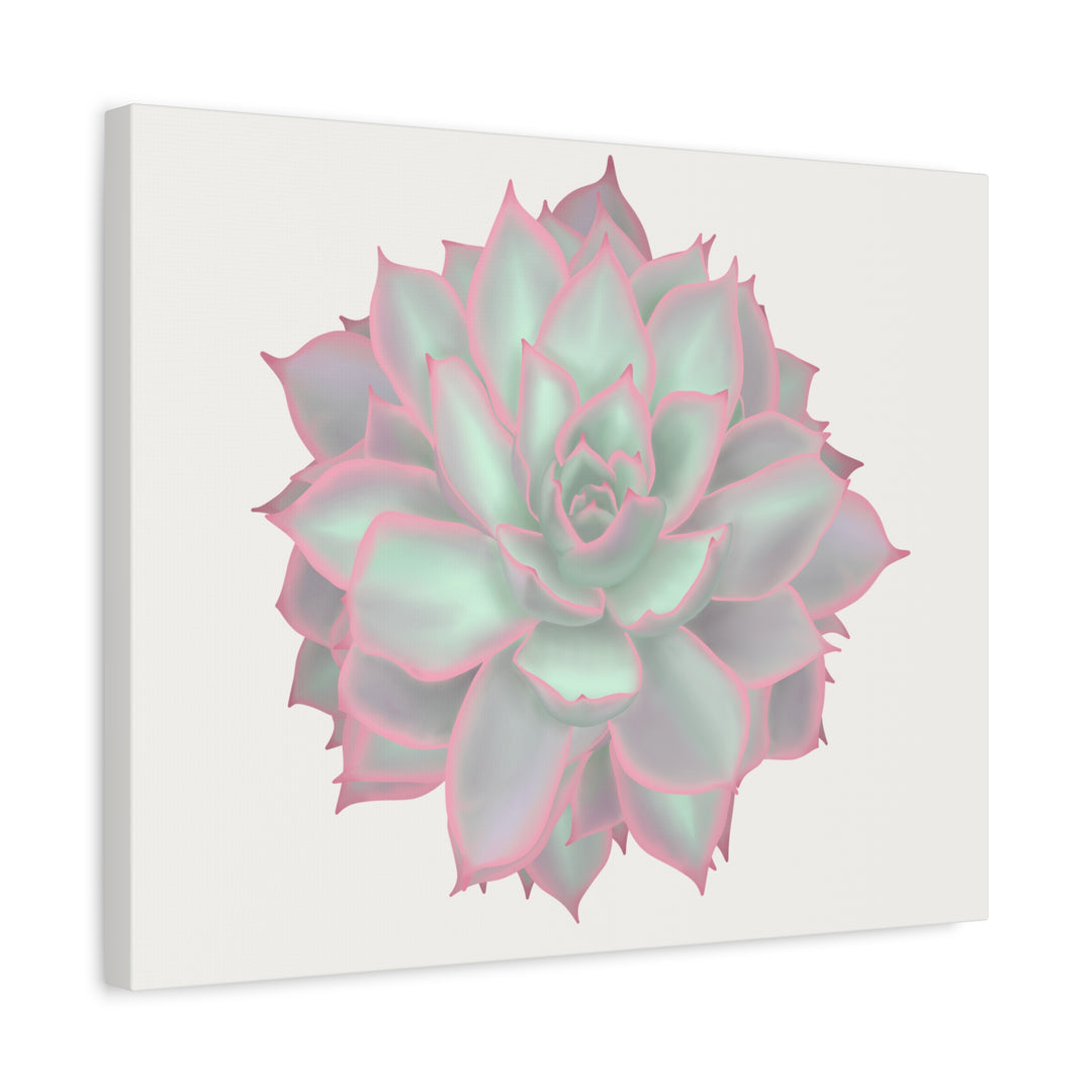 Echeveria Violet Queen Canvas Wall Art Rosette Succulent Print With Matte Finish