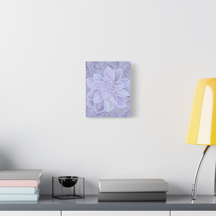 Graptopetalum Murasaki Succulent Canvas Art Print Pastel Purple Rosette Indoor Plant Decor