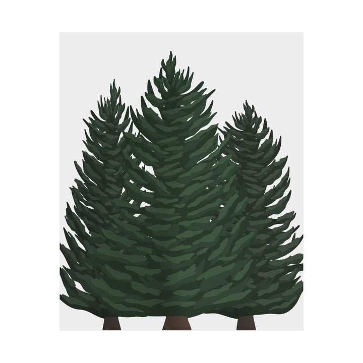 Douglas Fir Print – Unframed Wall Art