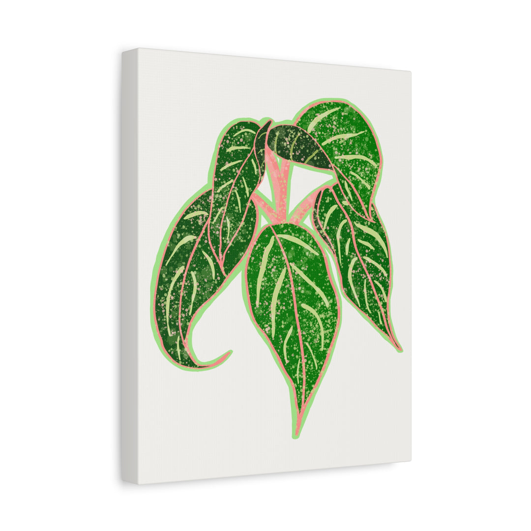 Aglaonema Sparkling Sarah Botanical Canvas Print On Matte Stretch Canvas For Modern Living Room Decor