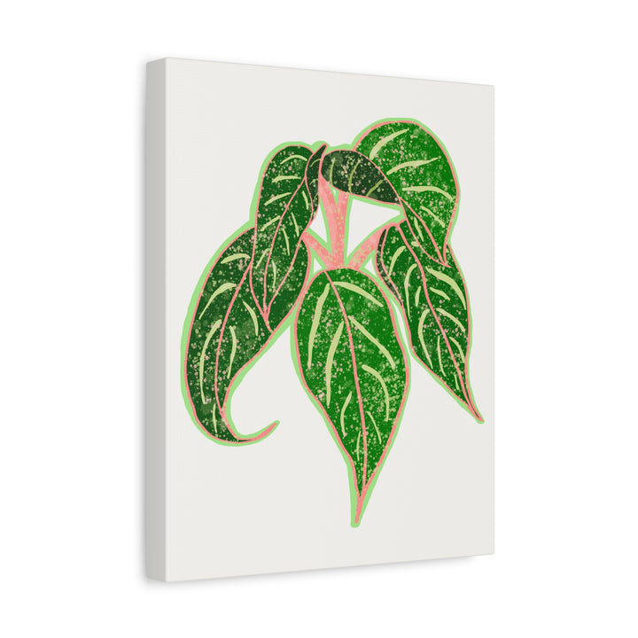 Aglaonema Sparkling Sarah Botanical Canvas Print On Matte Stretch Canvas For Modern Living Room Decor
