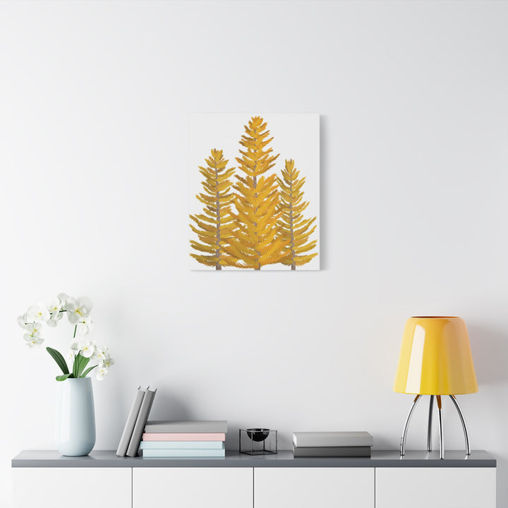 Western Larch Canvas Print – Wall Art