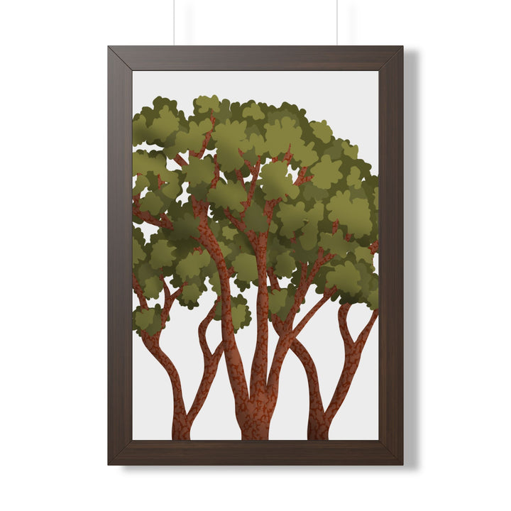 Pacific Madrone Framed Print – Wall Art
