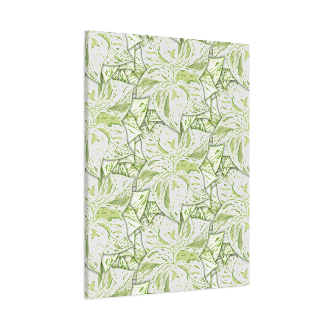 Snow Queen Pothos Canvas Print With Variegated White Leaves In Matte Finish For Modern Home Decor