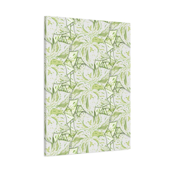 Snow Queen Pothos Canvas Print With Variegated White Leaves In Matte Finish For Modern Home Decor