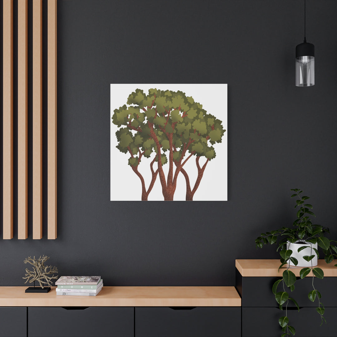 Pacific Madrone Canvas Print – Wall Art