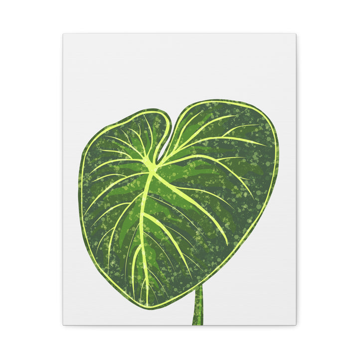 Philodendron Gloriosum Canvas Print Stretched Wall Art Botanical Leaf Print Matte Finish Gallery Wrapped Canvas