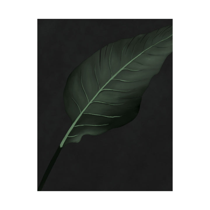 Bird of Paradise Botanical Print – Unframed Wall Art