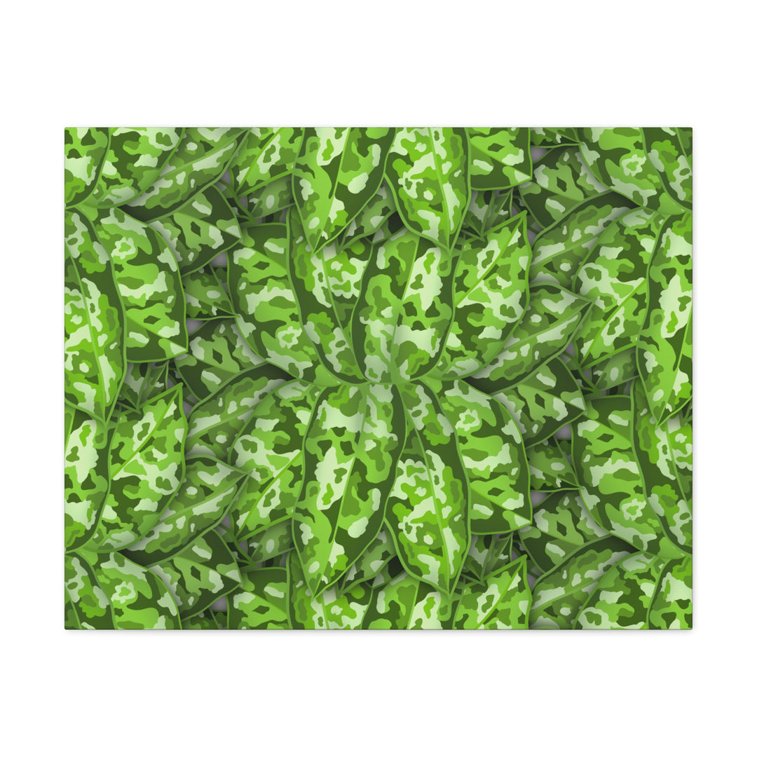 Aglaonema Pictum Canvas Wall Art Rare Plant Print Matte Finish For Modern Home Decor