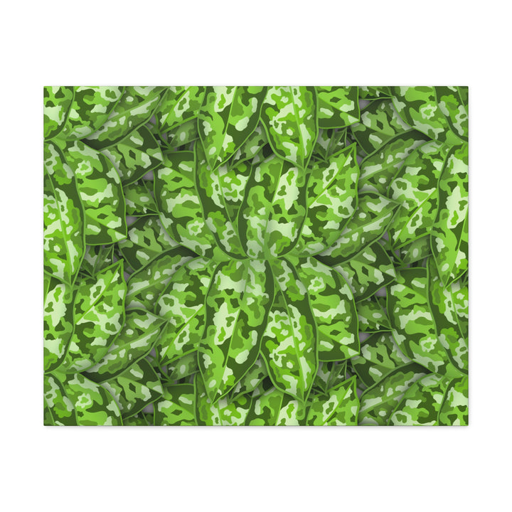 Aglaonema Pictum Canvas Wall Art Rare Plant Print Matte Finish For Modern Home Decor