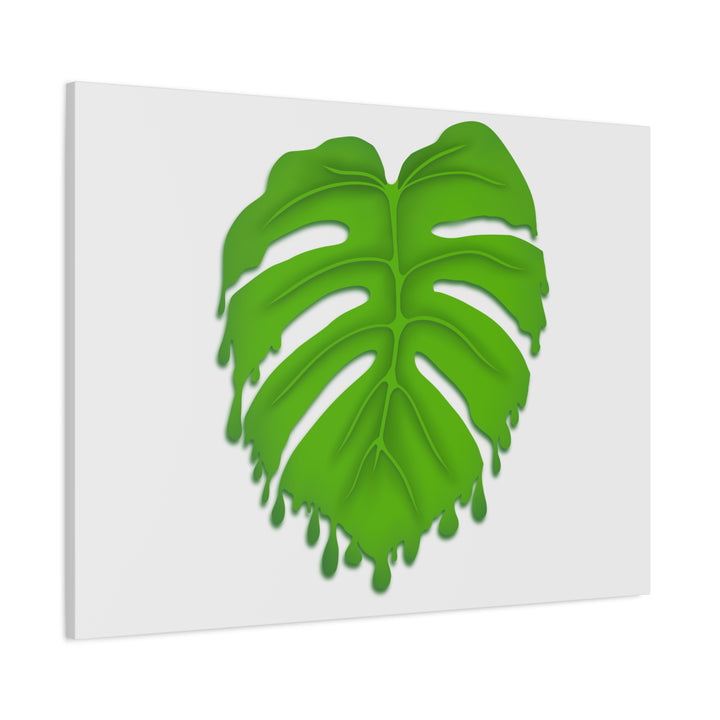 Melting Monstera Canvas Wall Art Large Botanical Print On Premium Cotton With Matte Finish For Indoor Decor