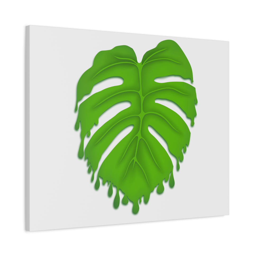 Melting Monstera Canvas Wall Art Large Botanical Print On Premium Cotton With Matte Finish For Indoor Decor