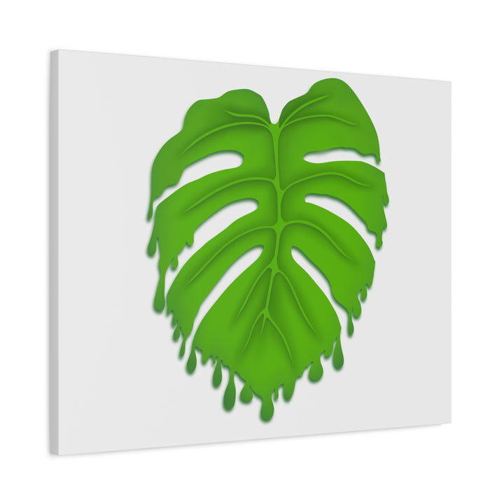 Melting Monstera Canvas Wall Art Large Botanical Print On Premium Cotton With Matte Finish For Indoor Decor