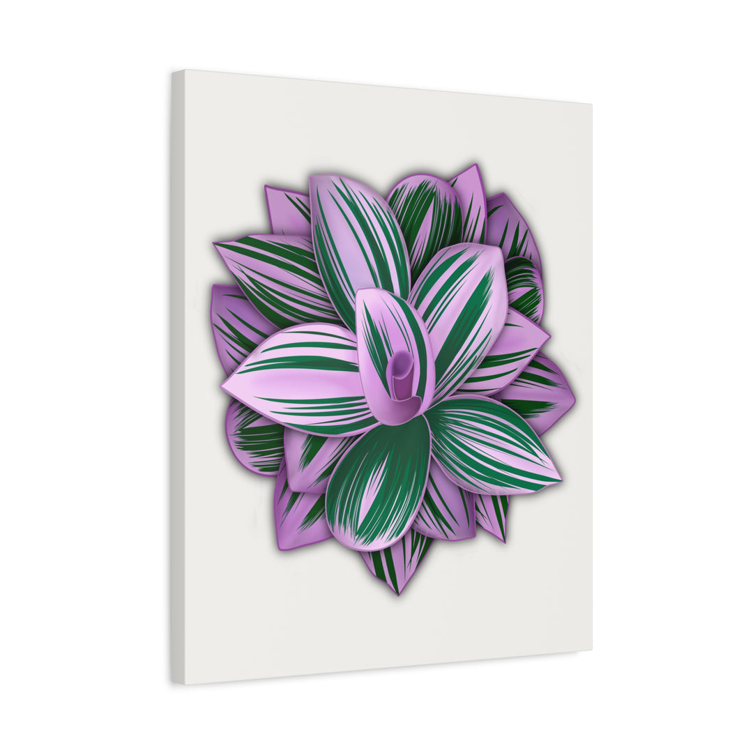 Tradescantia Nanouk Canvas Botanical Wall Art Print Pink Green Foliage On Stretched Cotton Canvas