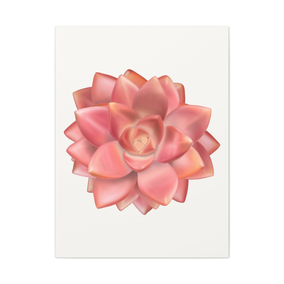 Succulent Canvas Art California Sunset Rosette Botanical Wall Art Print The Potted Pixel