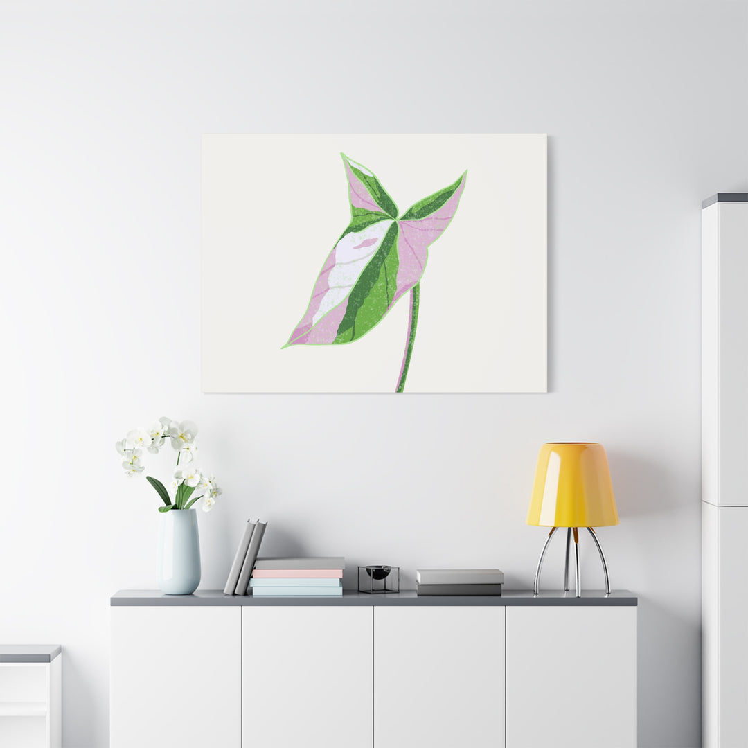 Syngonium Tricolor Canvas Print – Botanical Wall Art - The Potted Pixel
