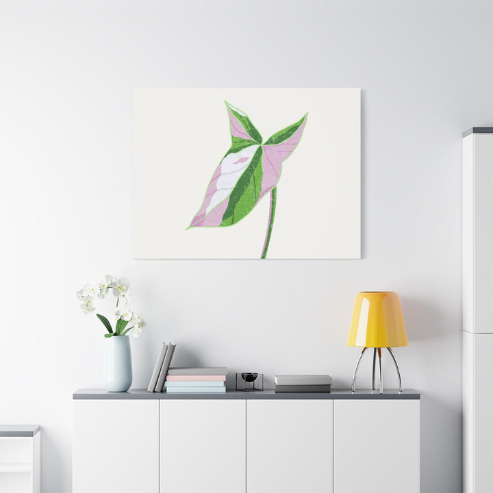 Syngonium Tricolor Canvas Print – Botanical Wall Art - The Potted Pixel