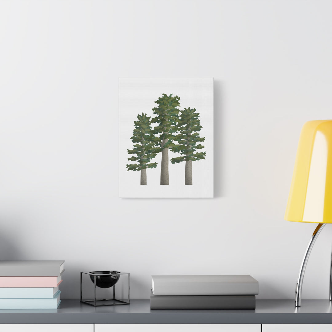 Sitka Spruce Canvas Print – Wall Art