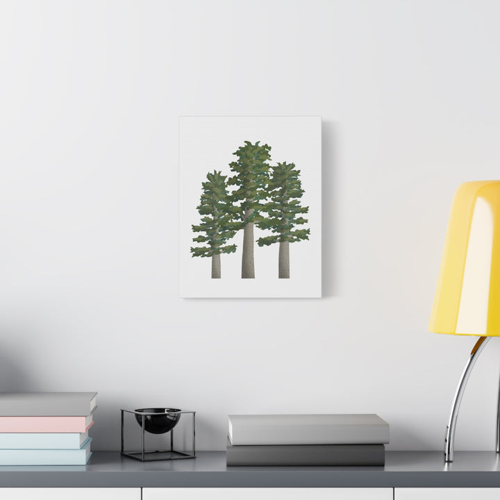 Sitka Spruce Canvas Print – Wall Art