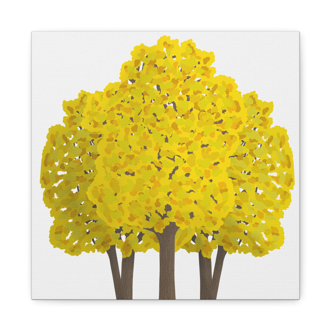 Big Leaf Maple Canvas Print – Wall Art