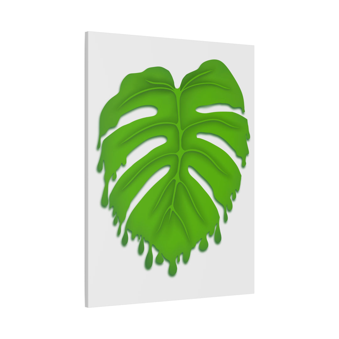 Melting Monstera Canvas Wall Art Large Botanical Print On Premium Cotton With Matte Finish For Indoor Decor