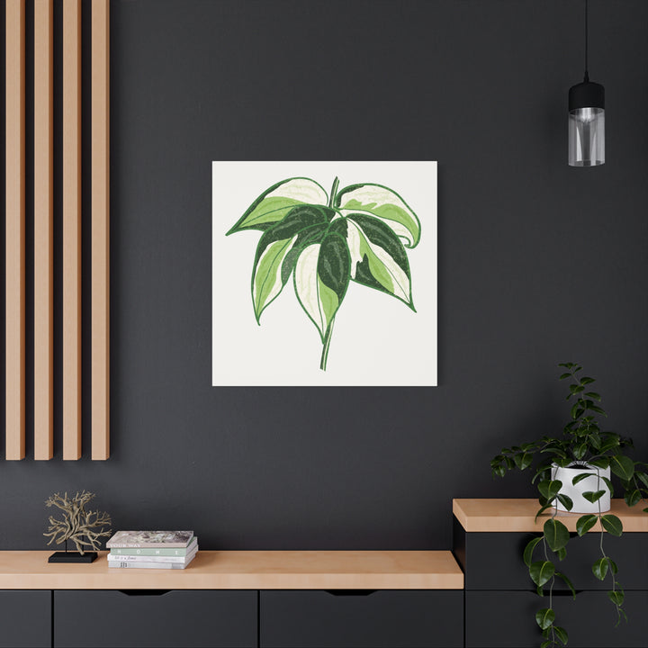 Philodendron Canvas Print Cream Splash Variegated Plant Art On Matte Cotton Canvas For Home Wall Decor