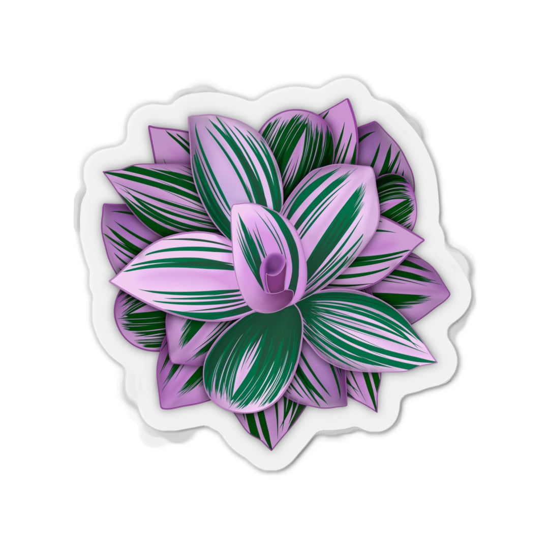 Tradescantia Nanouk Magnet