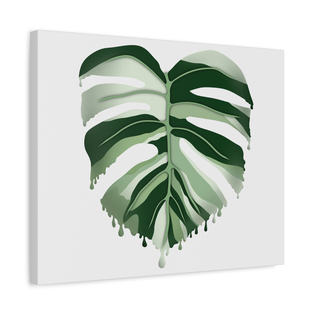 Melting Monstera Albo Canvas Large Indoor Wall Art Print Matte Finish Tropical Home Decor