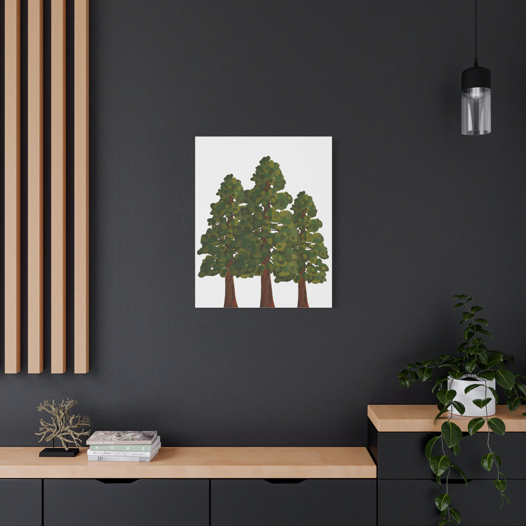 Coastal Redwoods Matte Canvas Print On 1.25 Inch Stretched Canvas For Serene Forest Wall Art In Living Rooms