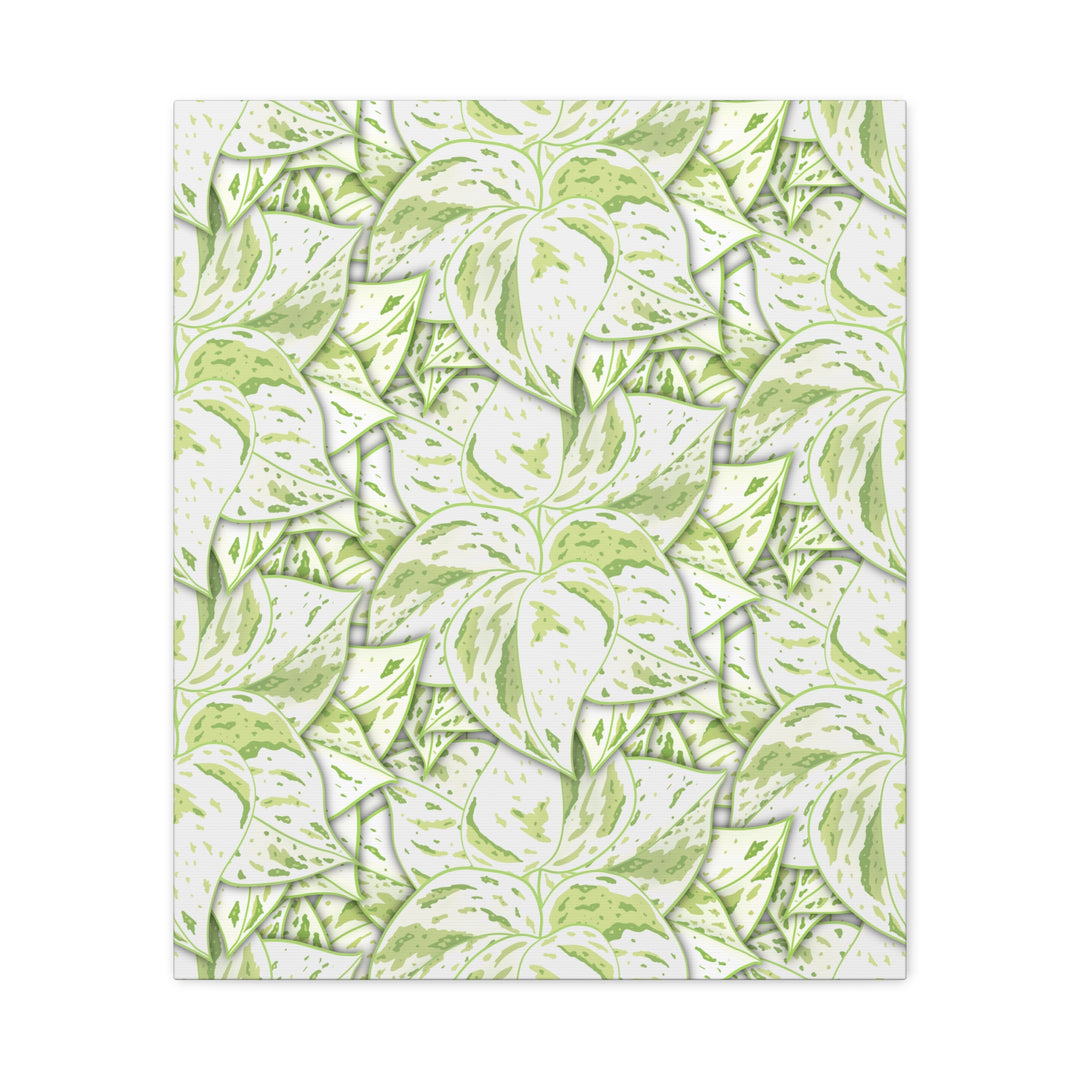 Snow Queen Pothos Canvas Print With Variegated White Leaves In Matte Finish For Modern Home Decor