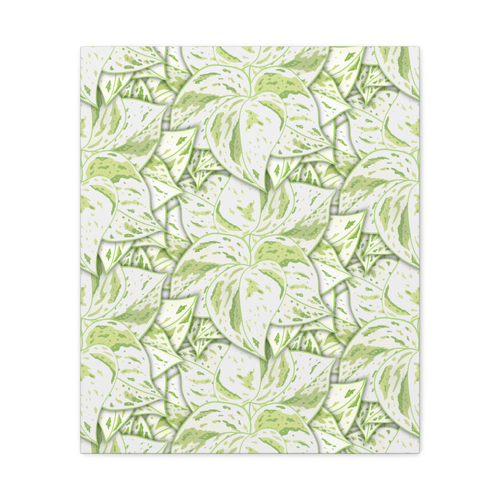 Snow Queen Pothos Canvas Print With Variegated White Leaves In Matte Finish For Modern Home Decor