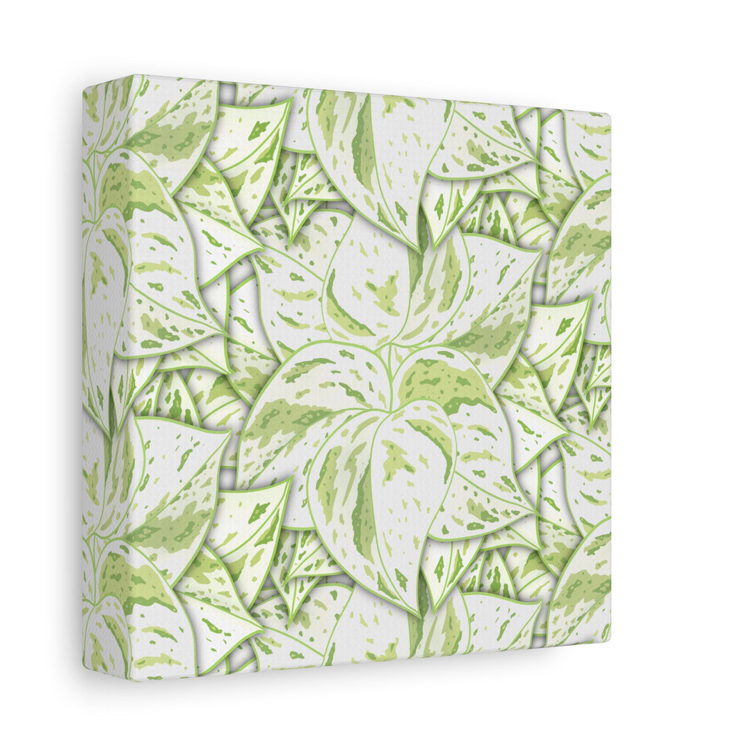 Snow Queen Pothos Canvas Print With Variegated White Leaves In Matte Finish For Modern Home Decor