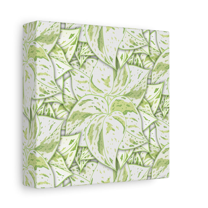 Snow Queen Pothos Canvas Print With Variegated White Leaves In Matte Finish For Modern Home Decor