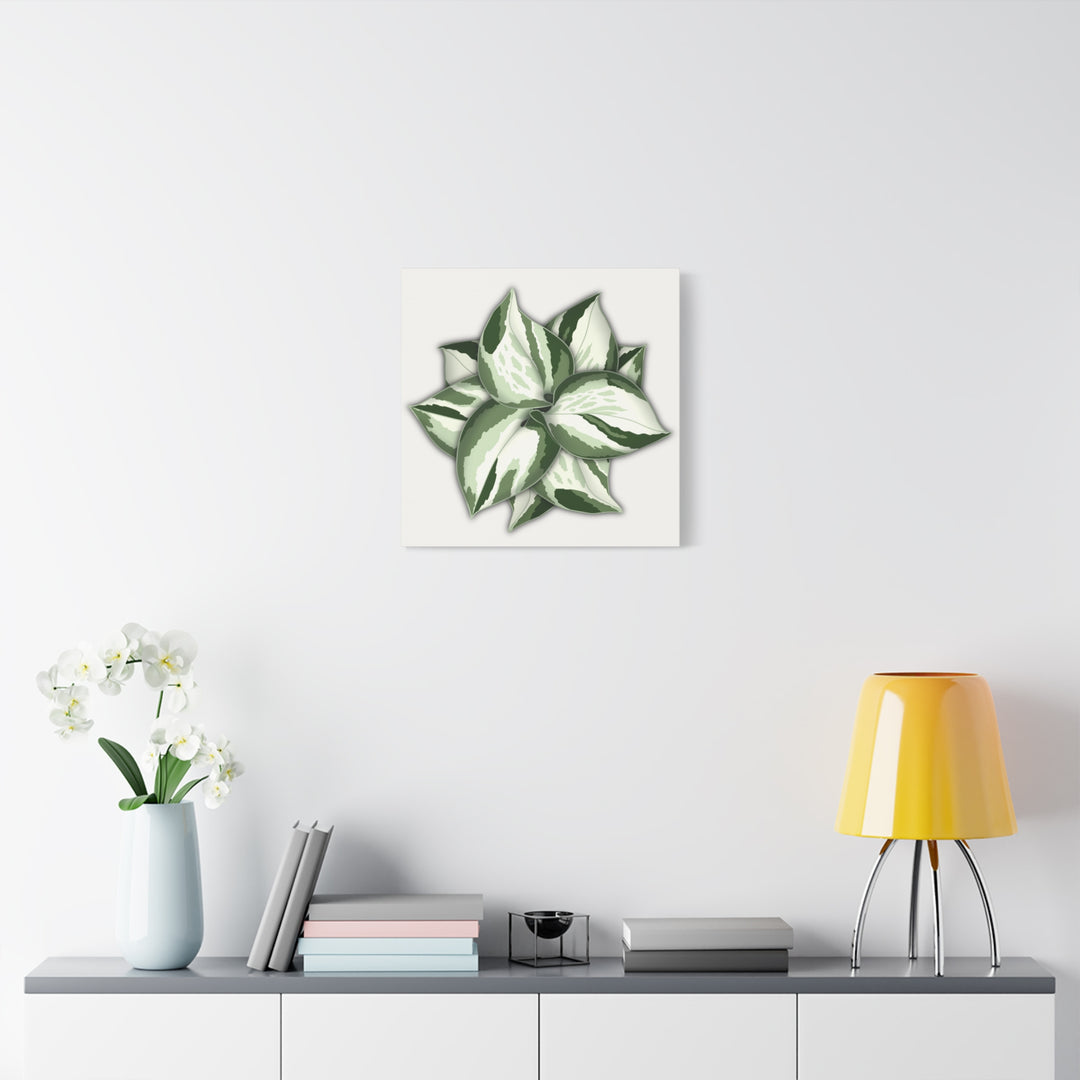 Manjula Pothos Canvas Print Stretched Matte Canvas Wall Art For Living Room And Office
