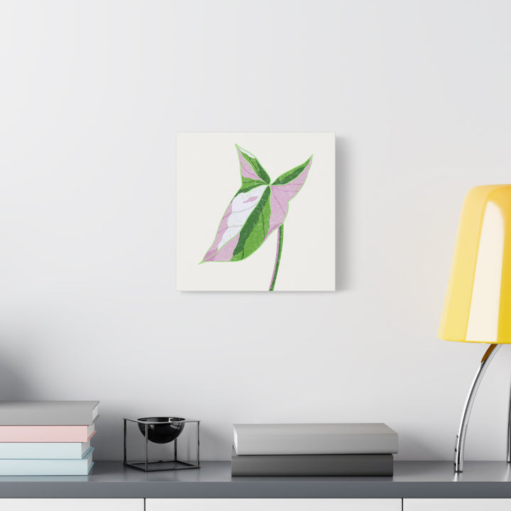 Syngonium Tricolor Canvas Print – Botanical Wall Art - The Potted Pixel