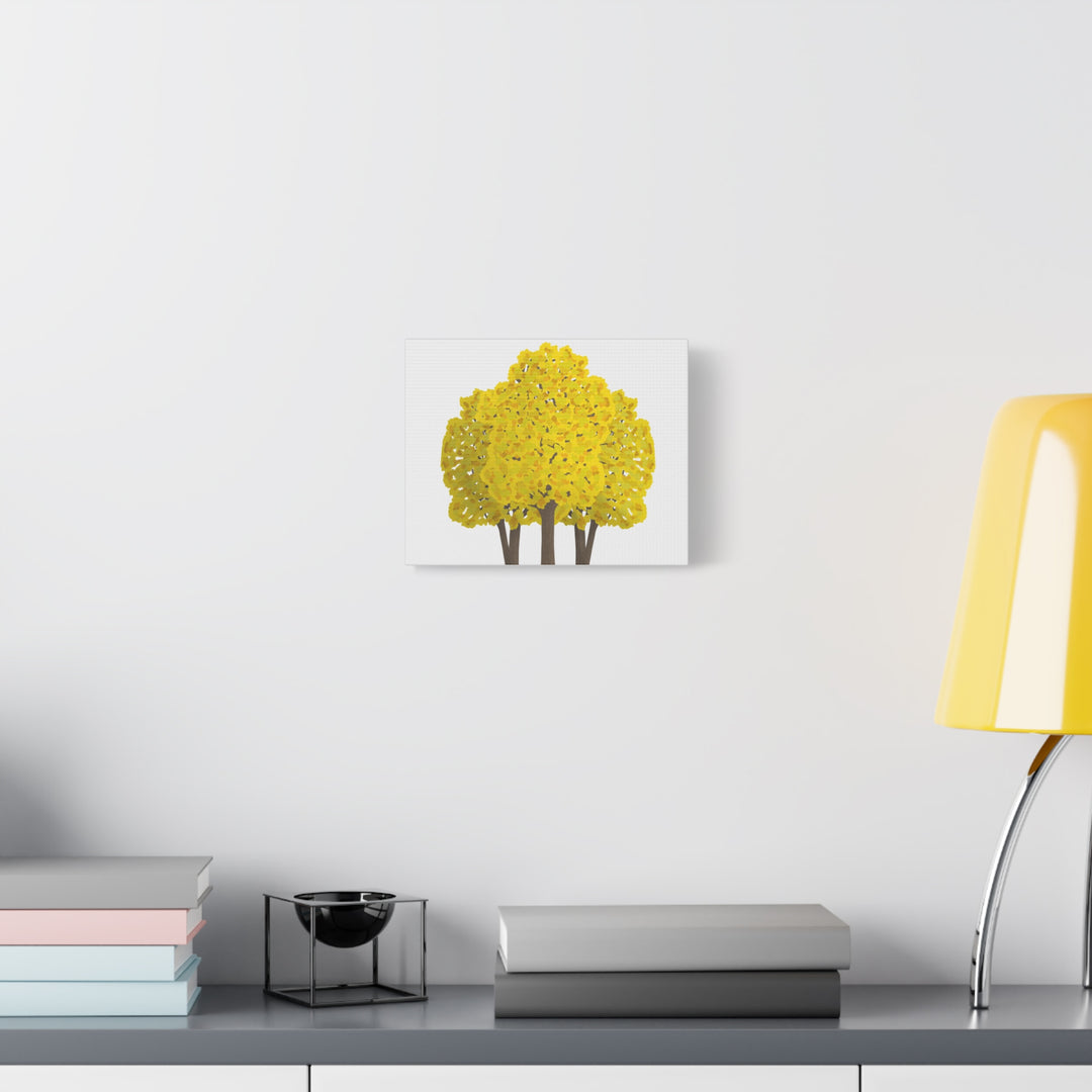Big Leaf Maple Canvas Print – Wall Art