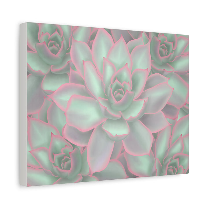 Echeveria Violet Queen Canvas Wall Art Succulent Print Matte Botanical Decor For Indoor Spaces