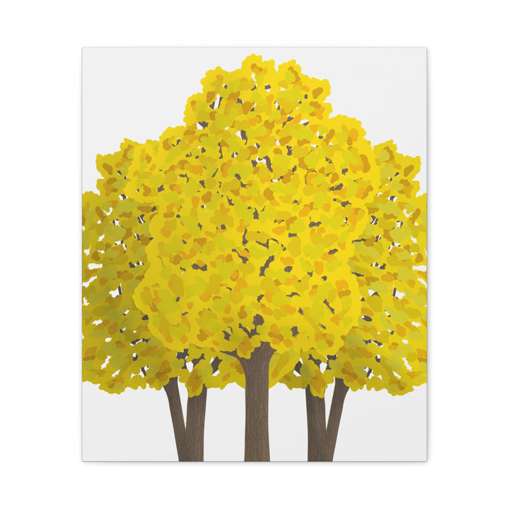 Big Leaf Maple Canvas Print – Wall Art