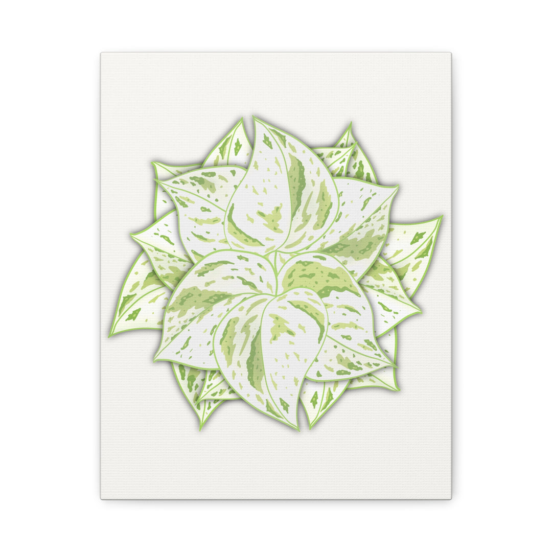 Snow Queen Pothos Canvas Wall Art Variegated Indoor Plant Leaf Poster Print Cotton Canvas