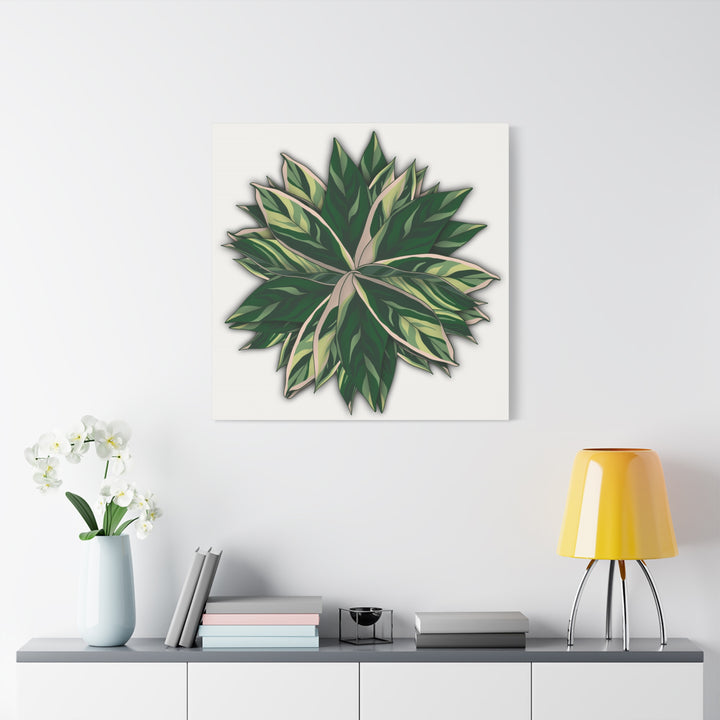 Stromanthe Triostar Canvas Wall Art Premium Matte Finish On Durable 1.25 Inch Frame For Vibrant Indoor Tropical Decor