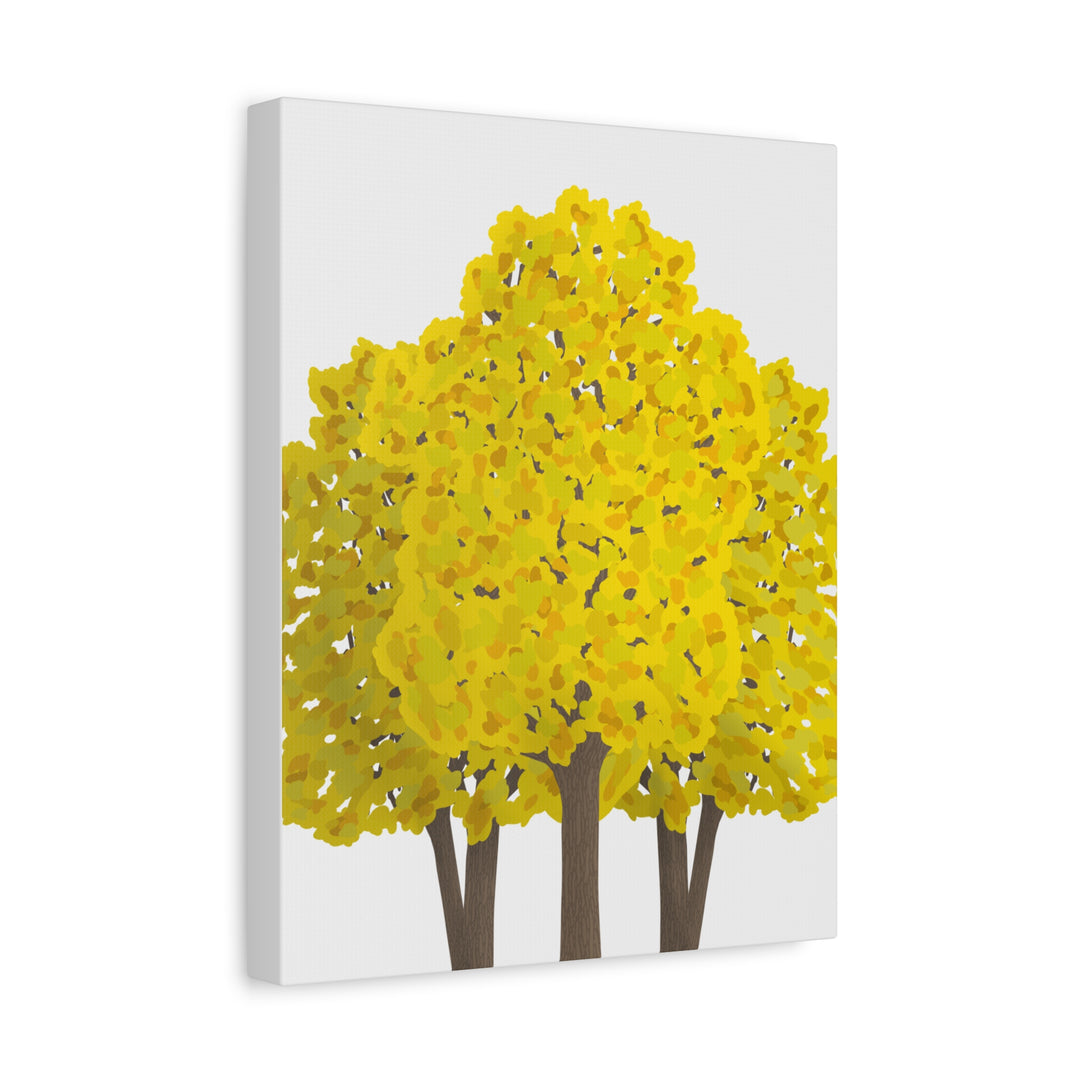 Big Leaf Maple Canvas Print – Wall Art