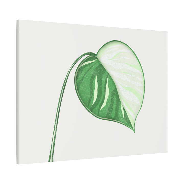 Monstera Albo Canvas Large Stretched Premium Quality Cotton Canvas Wall Art Tropical Leaf Poster Decor