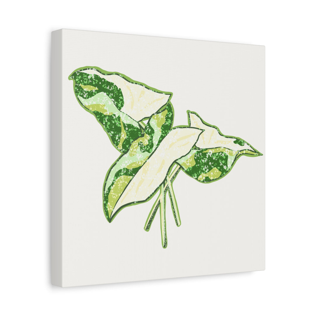 Marble Syngonium Canvas Botanical Wall Art Stretched Print On Durable Cotton Canvas Matte Finish