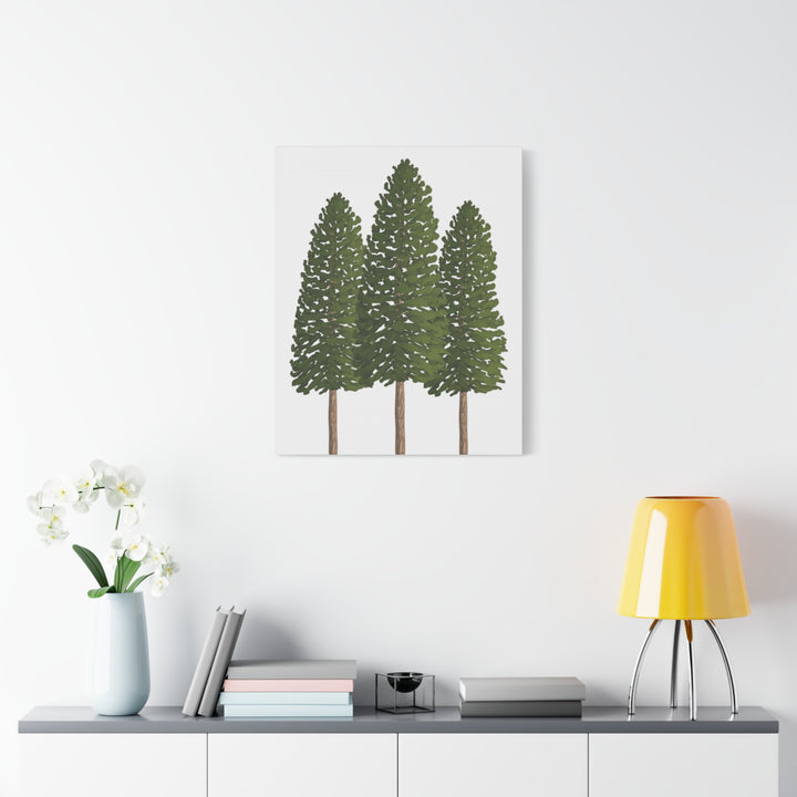 Three Ponderosa Pine Canvas Wall Art Matte Stretched Print Minimalist Forest Landscape Decor