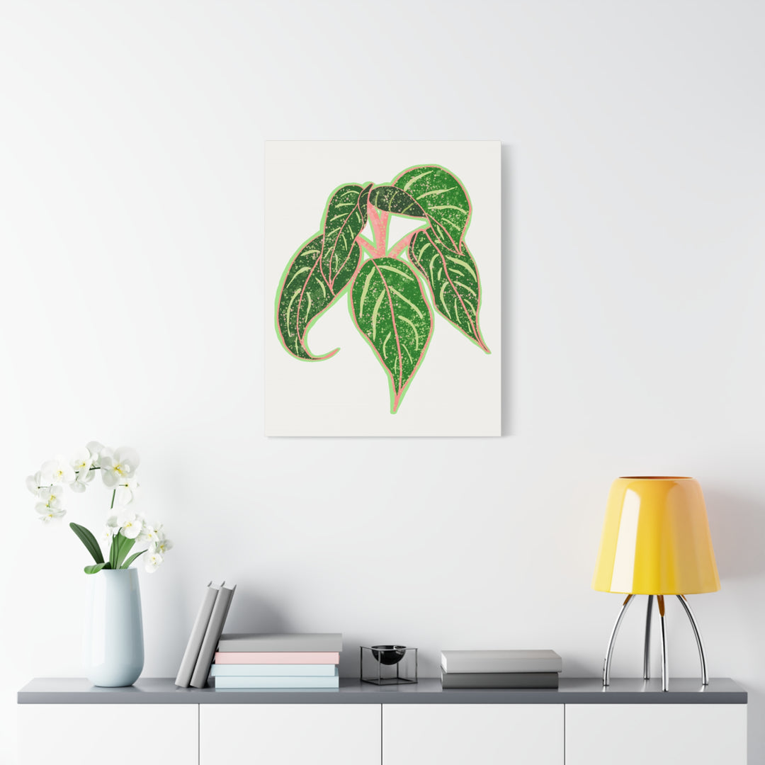 Aglaonema Sparkling Sarah Botanical Canvas Print On Matte Stretch Canvas For Modern Living Room Decor