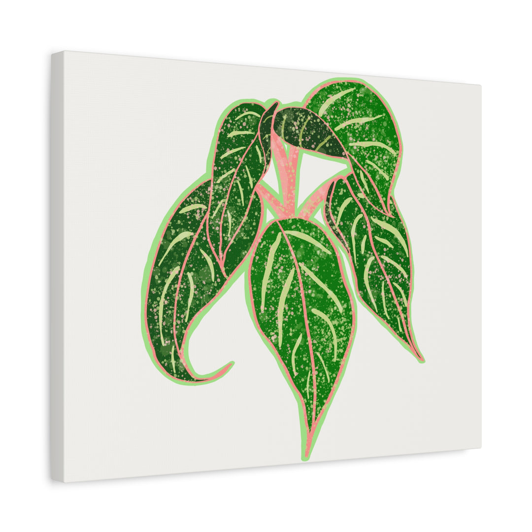 Aglaonema Sparkling Sarah Botanical Canvas Print On Matte Stretch Canvas For Modern Living Room Decor