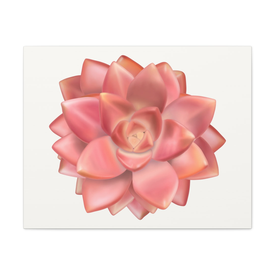 Succulent Canvas Art California Sunset Rosette Botanical Wall Art Print The Potted Pixel