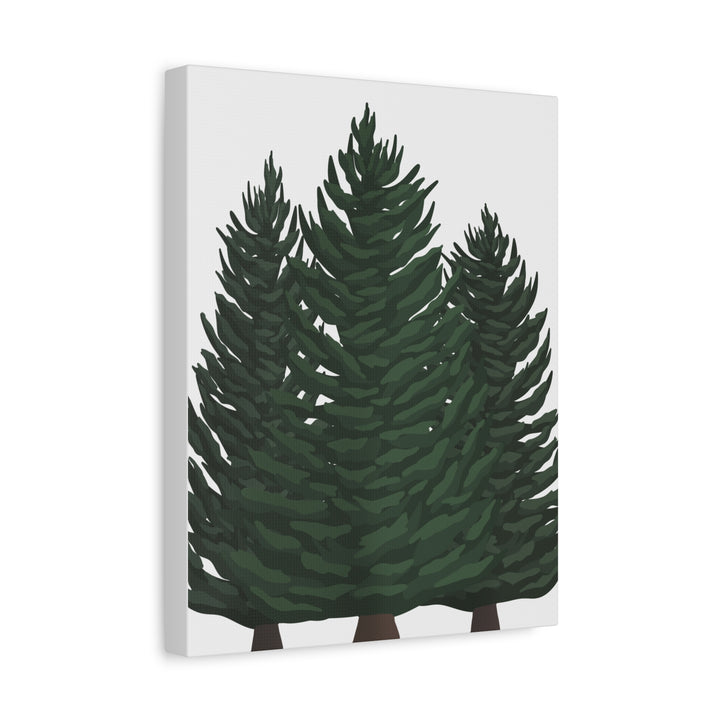 Douglas Fir Canvas Print – Wall Art