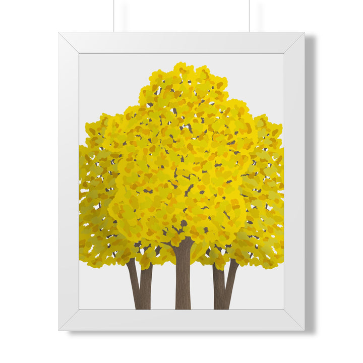Big Leaf Maple Framed Print – Wall Art